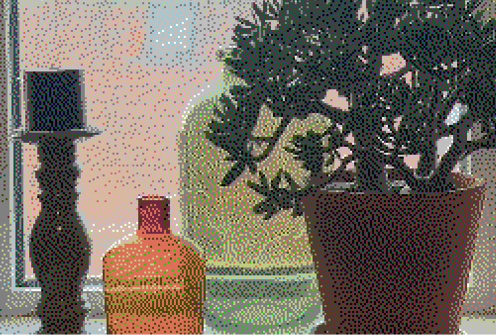 DitherCam 2